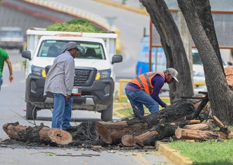 Aplicará Municipio más 3,500 m2 de asfalto en bacheo