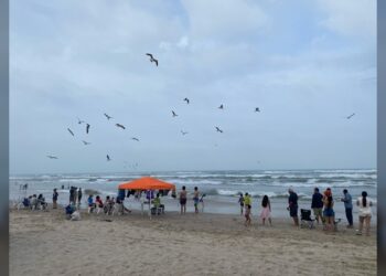 Advierten que el PJ Tam necesitará más oficinas y más personal a partir de octubre