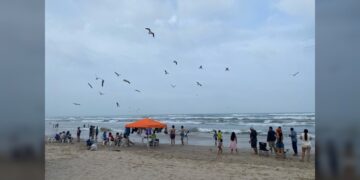 Advierten que el PJ Tam necesitará más oficinas y más personal a partir de octubre