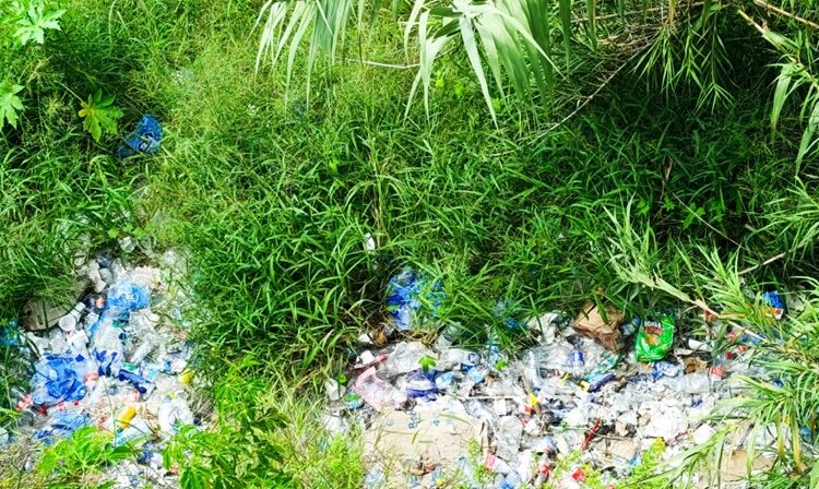 Ciudadanos siguen tirando basura al lecho del río San Marcos