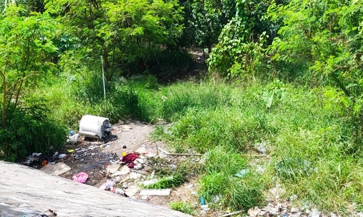 Ciudadanos siguen tirando basura al lecho del río San Marcos