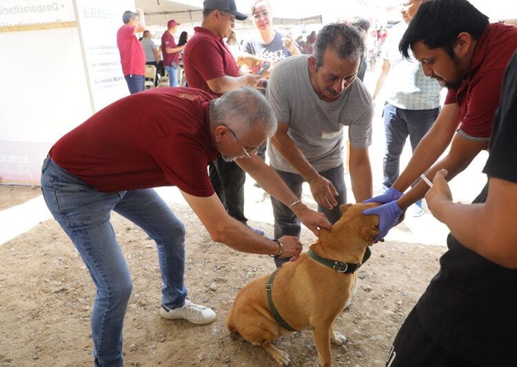 Continúa Gobierno de NLD impulsando el ‘Bienestar Animal’