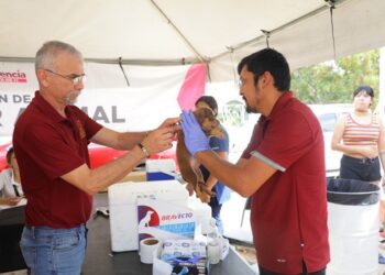 Continúa Gobierno de NLD impulsando el ‘Bienestar Animal’