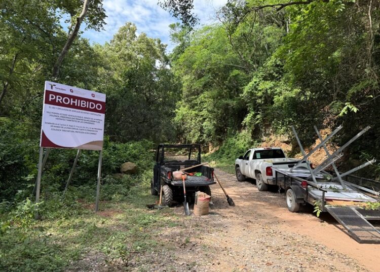 Coordinan estrategia de protección ecológica en Altas Cumbres y Los Troncones