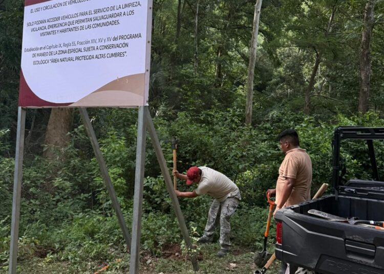 Coordinan estrategia de protección ecológica en Altas Cumbres y Los Troncones