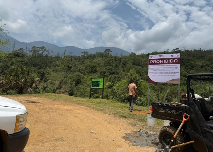 Coordinan estrategia de protección ecológica en Altas Cumbres y Los Troncones