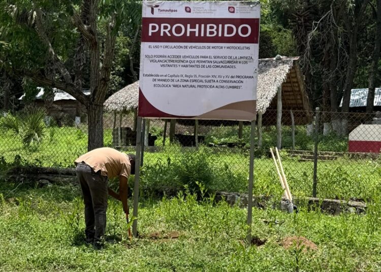 Coordinan estrategia de protección ecológica en Altas Cumbres y Los Troncones
