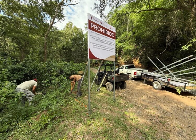 Coordinan estrategia de protección ecológica en Altas Cumbres y Los Troncones