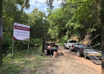 Coordinan estrategia de protección ecológica en Altas Cumbres y Los Troncones