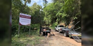 Coordinan estrategia de protección ecológica en Altas Cumbres y Los Troncones