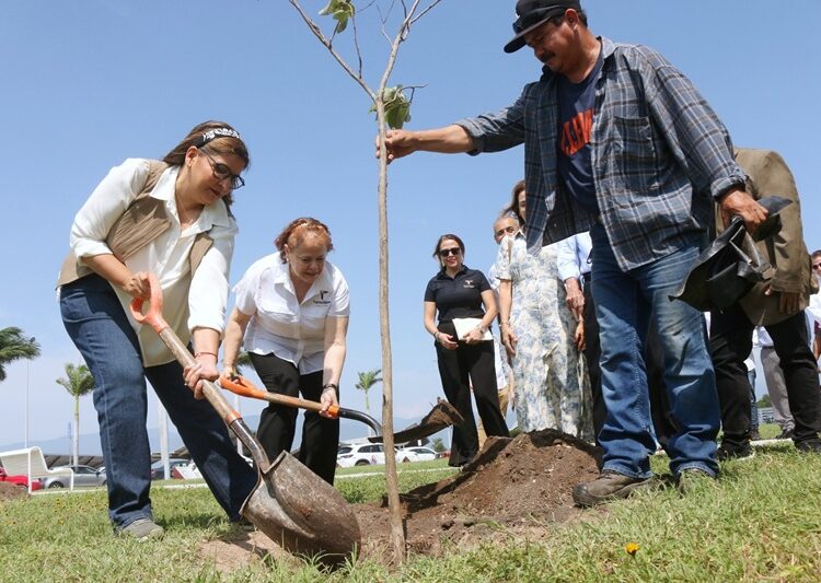 Fomenta SEDUMA reforestación con visión sostenible en el Parque Bicentenario