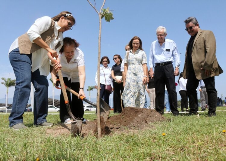 Fomenta SEDUMA reforestación con visión sostenible en el Parque Bicentenario