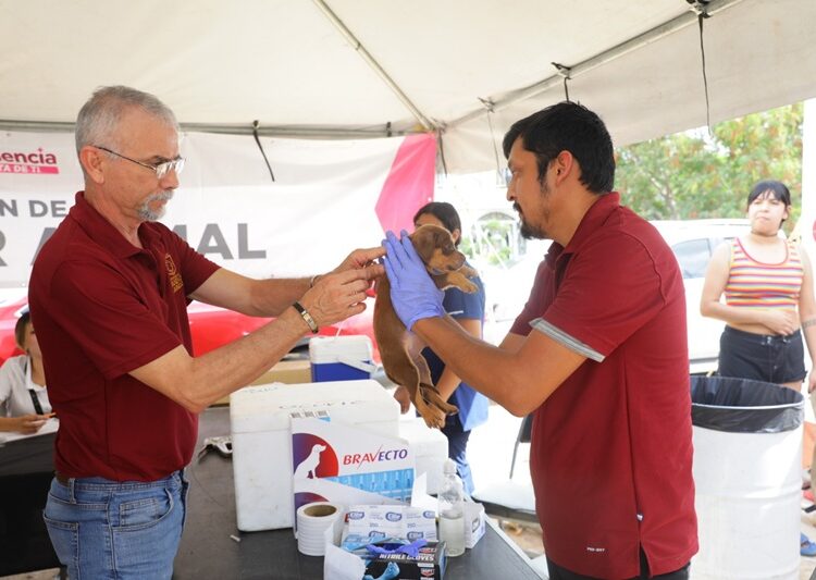 Gobierno de NLD invita a jornada de “Presidencia Cerquita de Ti” en Villas del Sol