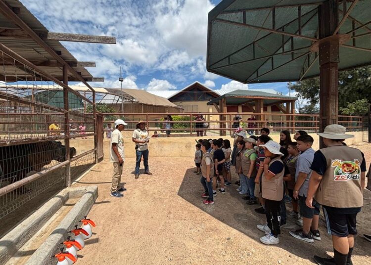 Invita Gobierno Municipal al CAPI CAMP 2025 en el Zoo de NLD