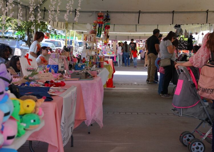 Invita Gobierno de NLD al Bazar Summer este sábado en el Parque Viveros