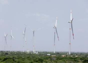 Lidera Tamaulipas producción de energía eólica en México