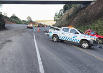 Seis cortadores de aguacate mueren por viajar irresponsablemente en la caja de camioneta pickup, en la siglo XXI