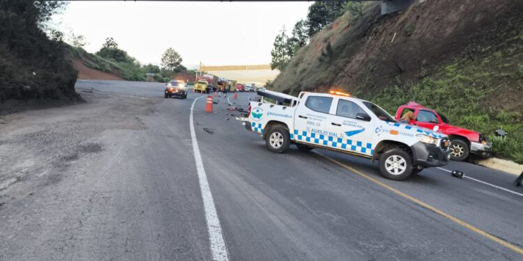 Seis cortadores de aguacate mueren por viajar irresponsablemente en la caja de camioneta pickup, en la siglo XXI
