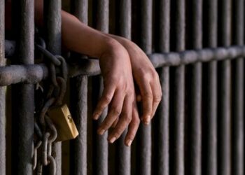 Lanza Gobierno de NLD programa ‘Kit de jardinería 2025’ para escuelas públicas