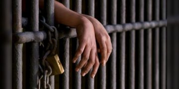 Lanza Gobierno de NLD programa ‘Kit de jardinería 2025’ para escuelas públicas