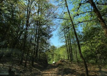 Promete ITAIT no detener sus labores hasta que desaparezca