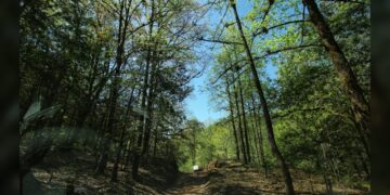 Promete ITAIT no detener sus labores hasta que desaparezca