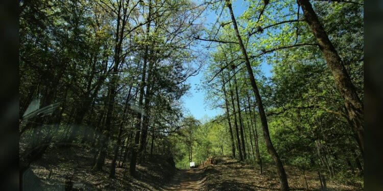 Promete ITAIT no detener sus labores hasta que desaparezca