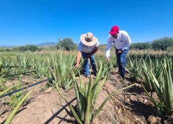 Interesa a Tamaulipas impulsar la formación de ingenieros en tecnologías emergentes
