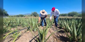 Interesa a Tamaulipas impulsar la formación de ingenieros en tecnologías emergentes