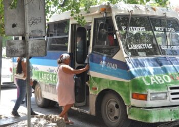 Disminuye producción pesquera en Tamaulipas pese a liderazgo en camarón