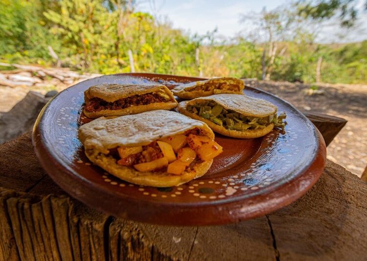 Proyectan cabañas turísticas en “El Vergel tamaulipeco”