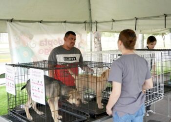 Realiza Dirección de Bienestar Animal ‘Feria de Adopciones’ en NLD