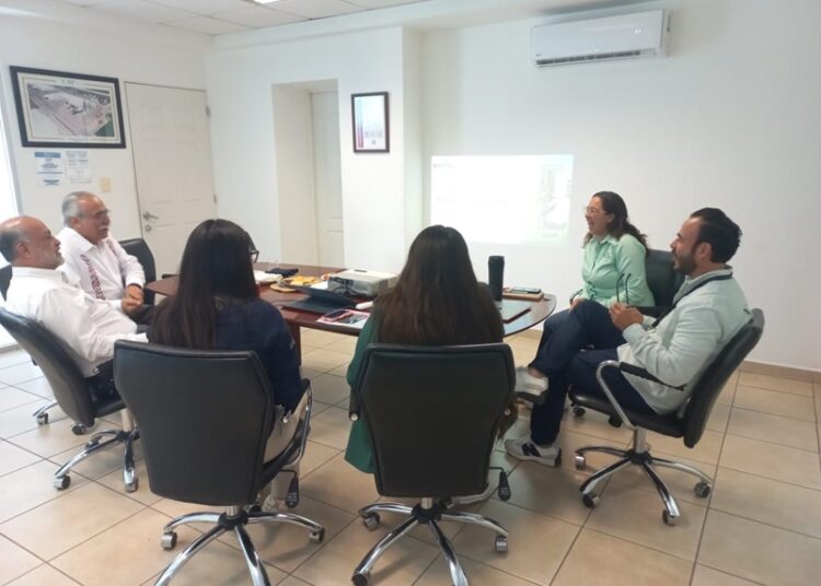 Realizan 2.ª prueba para la fabricación de harina nixtamalizada de sorgo blanco