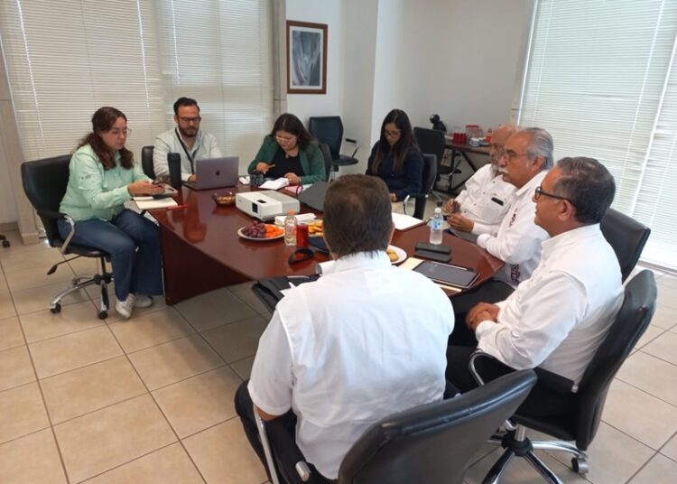 Realizan 2.ª prueba para la fabricación de harina nixtamalizada de sorgo blanco