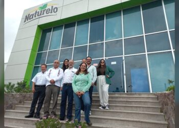 Realizan 2.ª prueba para la fabricación de harina nixtamalizada de sorgo blanco
