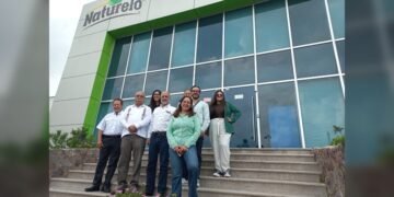 Realizan 2.ª prueba para la fabricación de harina nixtamalizada de sorgo blanco