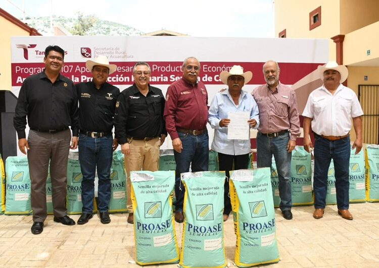 Reciben semilla de maíz productores del municipio de Tula
