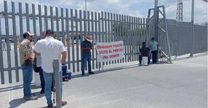 “Estamos jodidos”: Agricultores de Tamaulipas