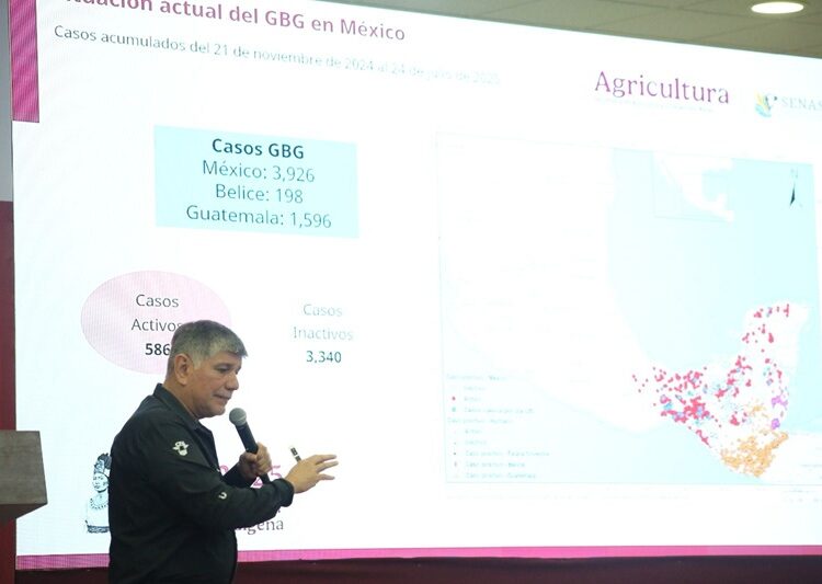Tamaulipas tiende barrera de contención al gusano barrenador