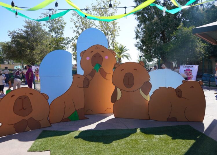 Arranca el Capi Camp en el Zoológico de Nuevo Laredo.