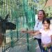 Zoo de NLD ofrece divertidas interacciones animales