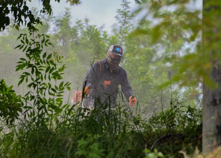 Recupera Victoria área verde para fortalecer convivencia social en Lomas de Santander