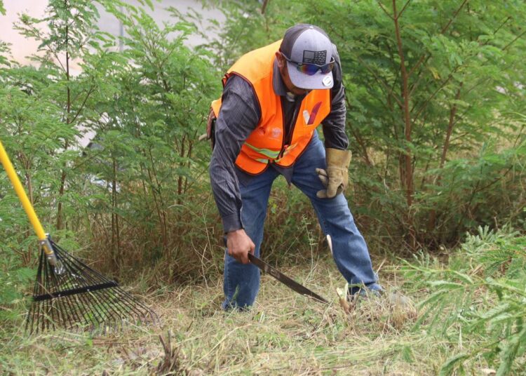 Recupera Victoria área verde para fortalecer convivencia social en Lomas de Santander