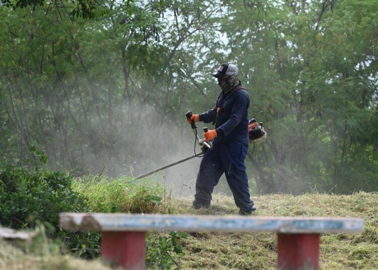 Recupera Victoria área verde para fortalecer convivencia social en Lomas de Santander