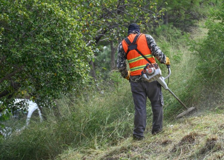 Recupera Victoria área verde para fortalecer convivencia social en Lomas de Santander