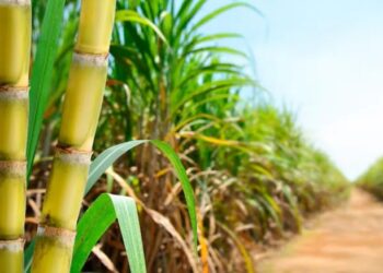 Promueve CODHET lactancia materna en hospitales de Tamaulipas