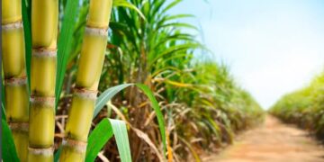 Promueve CODHET lactancia materna en hospitales de Tamaulipas