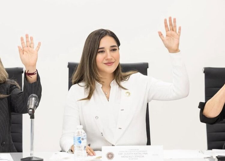 “Avanza participación de la ciudadanía en vigilancia de Gobiernos Municipales”: Katalyna