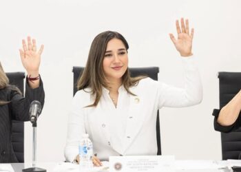 “Avanza participación de la ciudadanía en vigilancia de Gobiernos Municipales”: Katalyna