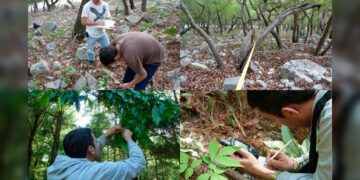 Busca la UAT conservar bosques de encino con tecnología geoespacial